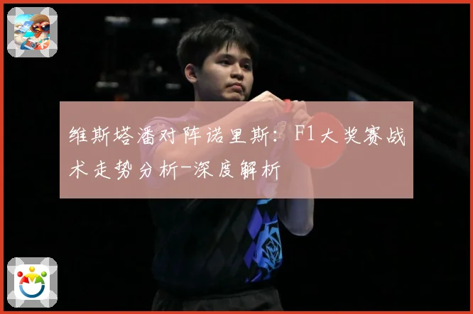 维斯塔潘对阵诺里斯：F1大奖赛战术走势分析-深度解析