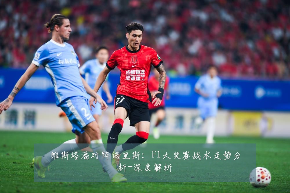 维斯塔潘对阵诺里斯：F1大奖赛战术走势分析-深度解析